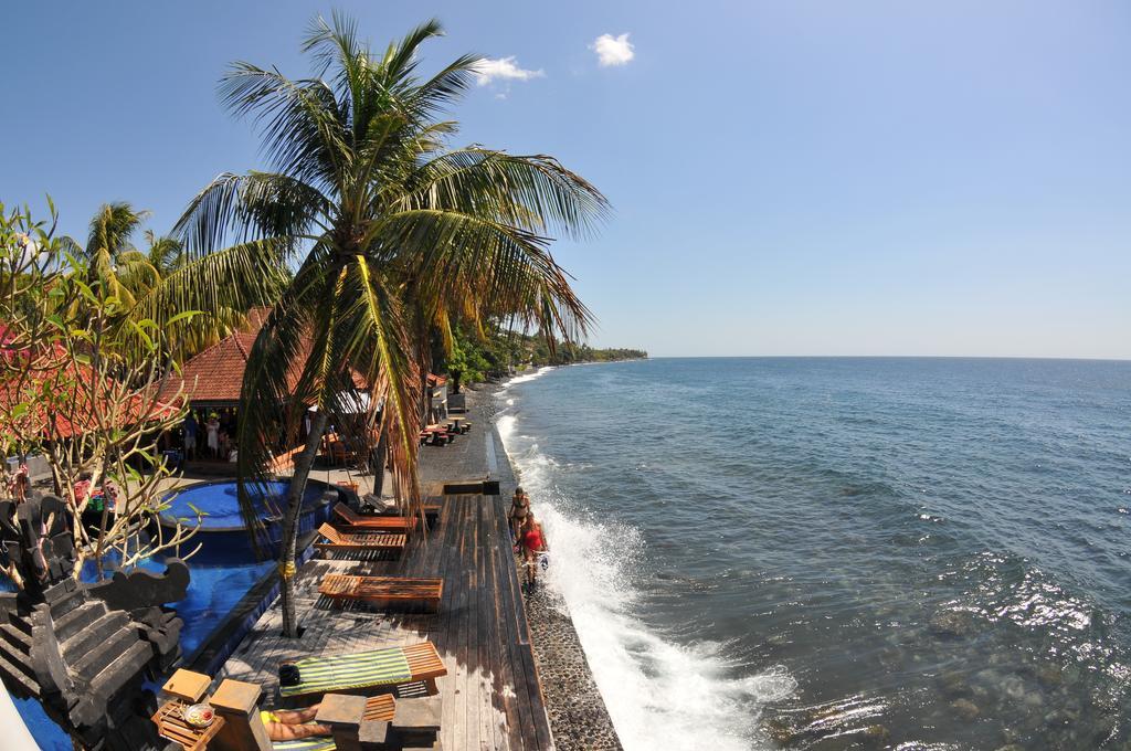 Vakantiepark Paradise Palm And Dive Center 4*
